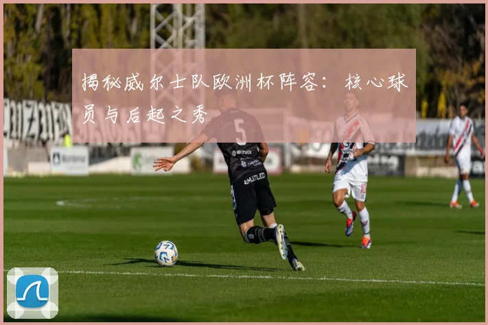 揭秘威尔士队欧洲杯阵容：核心球员与后起之秀