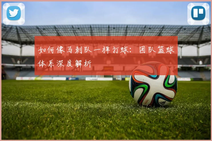 如何像马刺队一样打球：团队篮球体系深度解析